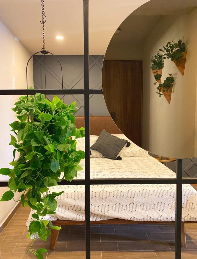Layoo, Tu Casa En Oaxaca 101 Apartment Bagian luar foto